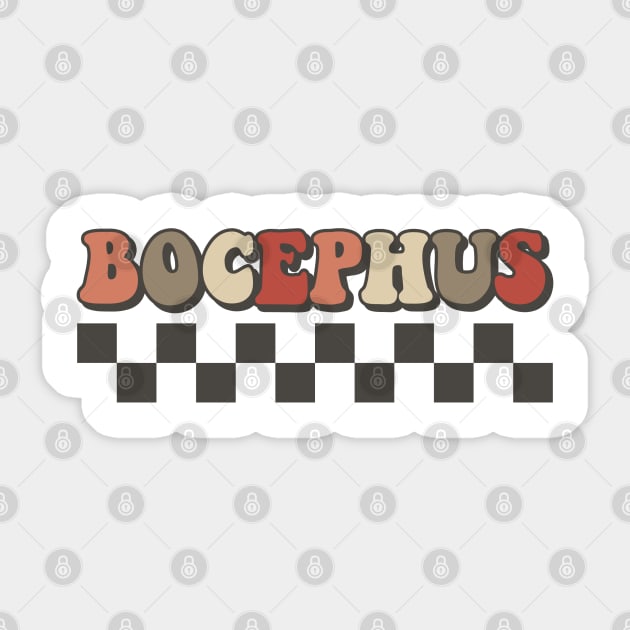 Bocephus Checkered Retro Groovy Style Sticker by Time Travel Style